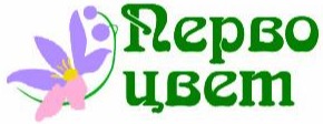 Цветочная подписка